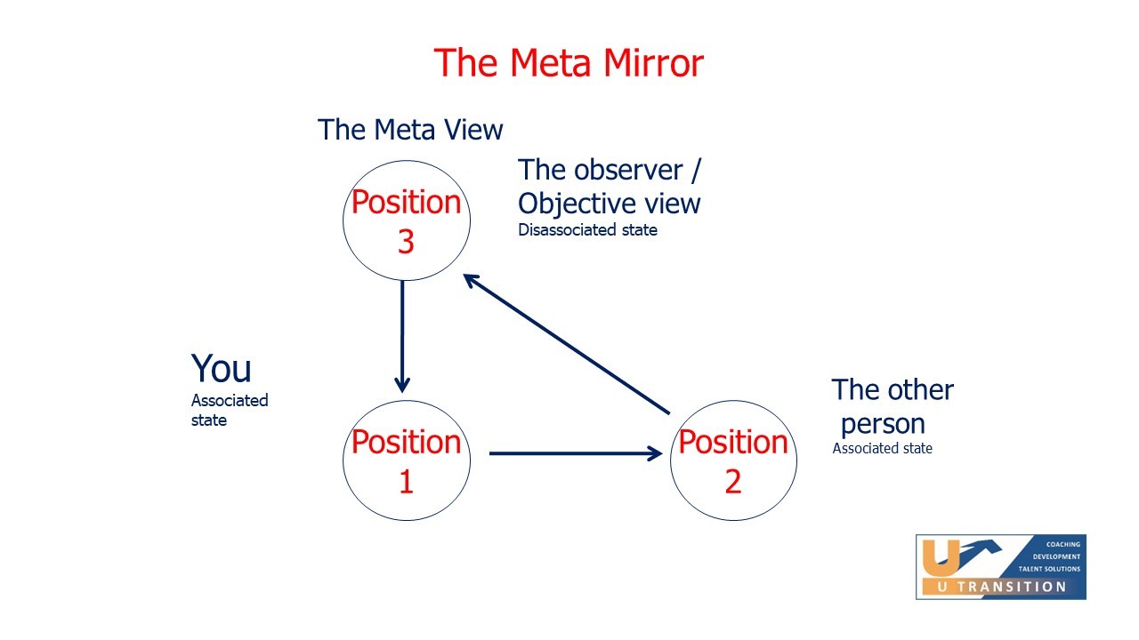 the meta mirror